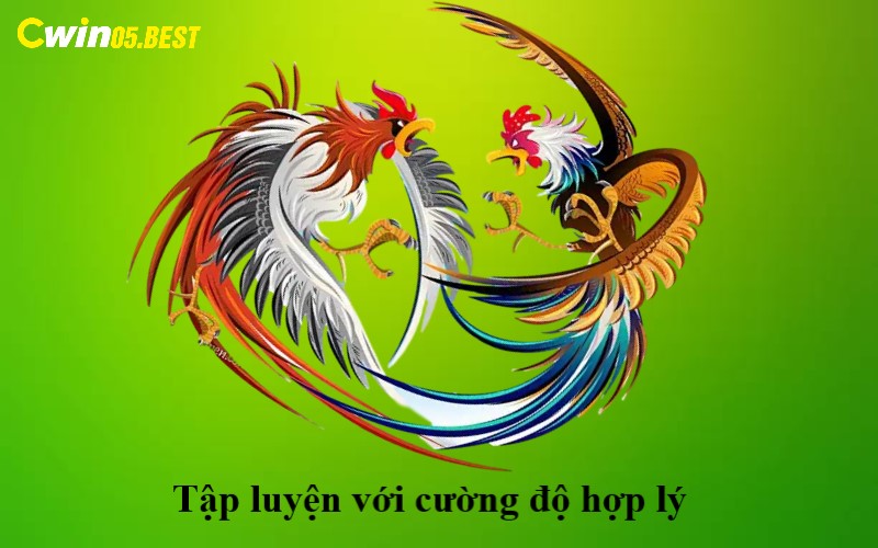 Tập luyện với cường độ hợp lý